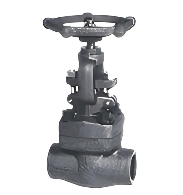 forged steel globe valve