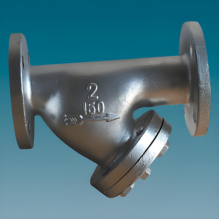 Y type strainer